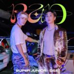 SUPER JUNIOR-D&E - BAD BLOOD