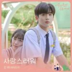 SinB A Love So Beautiful OST Part 2