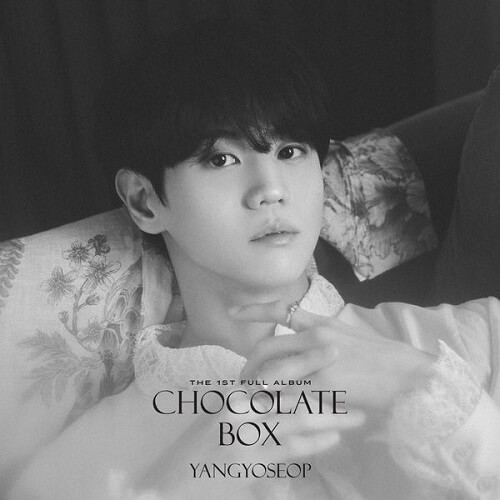 YANG YO SEOP Chocolate Box