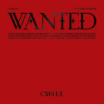 CNBLUE WANTED